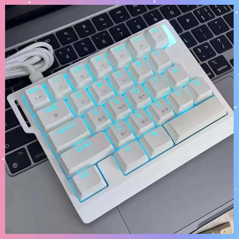 Gaming Keyboard Magnetic Switches - Механическая игровая клавиатура HE30, 29 клавиш,